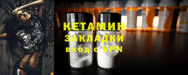 шишки Лабытнанги