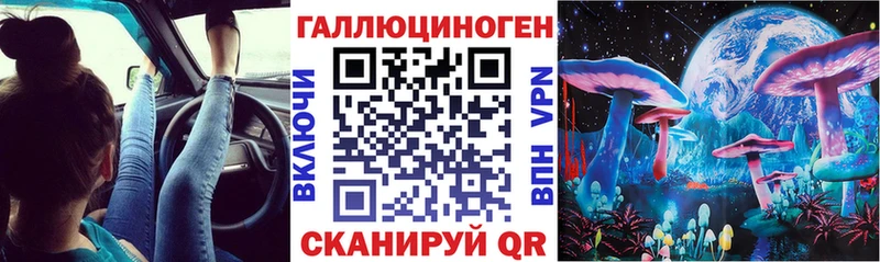Галлюциногенные грибы Psilocybine cubensis  Маркс 